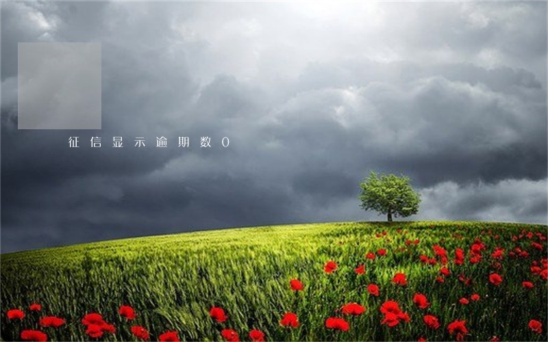 征信显示逾期数0 征信显示逾期数0