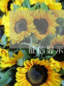 征信显示逾期数6