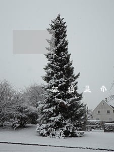 征信显示逾期状态10个月 征信显示逾期状态10个月