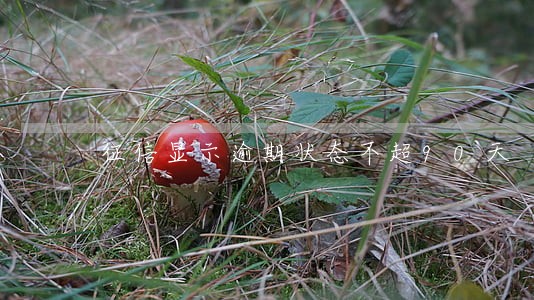 征信显示逾期状态不超90天 征信显示逾期状态不超90天