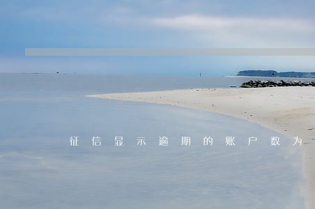 征信显示逾期的账户数为1 征信显示逾期的账户数为1