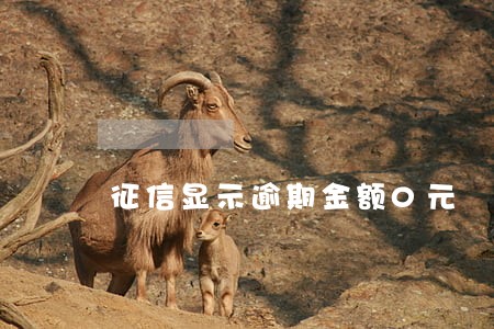 征信显示逾期金额0元