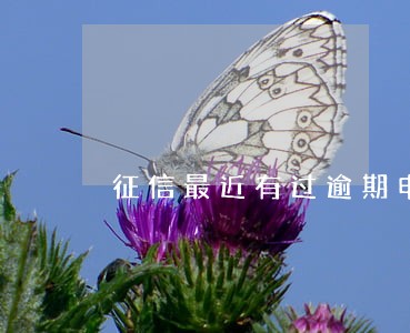征信最近有过逾期申请信用卡