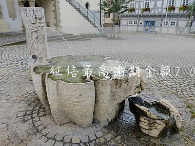 征信最高逾期金额7000 征信最高逾期金额7000