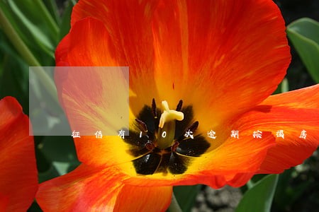 征信有10次逾期按揭房贷款 征信有10次逾期按揭房贷款