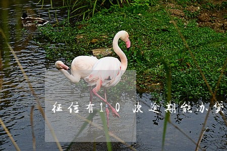 征信有10次逾期能办贷款么 征信有10次逾期能办贷款么