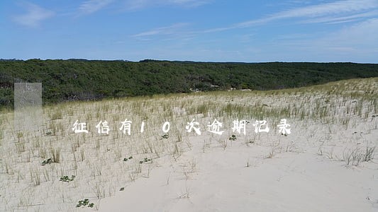 征信有10次逾期记录