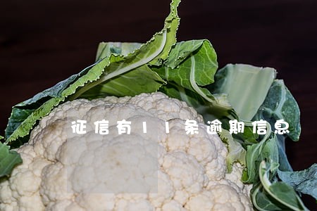 征信有11条逾期信息 征信有11条逾期信息