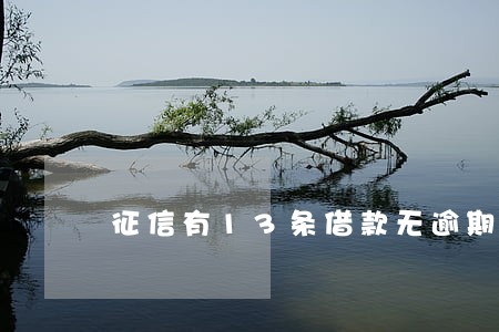 征信有13条借款无逾期 征信有13条借款无逾期