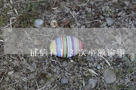征信有13次小额逾期 征信有13次小额逾期