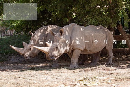 征信有16笔一个月内逾期记录 征信有16笔一个月内逾期记录