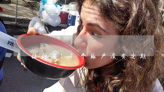 征信有17个账户没有逾期