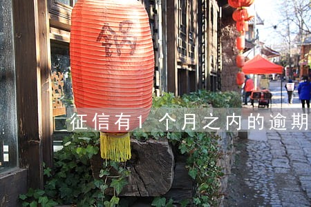 征信有1个月之内的逾期记录吗 征信有1个月之内的逾期记录吗
