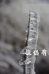 征信有1个逾期能公积金贷款 征信有1个逾期能公积金贷款