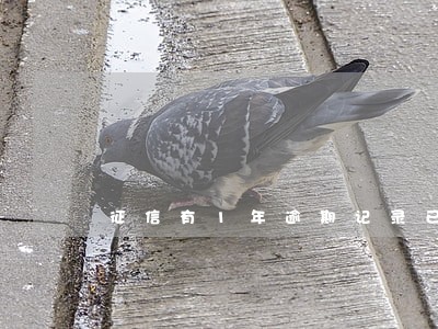 征信有1年逾期记录已还清 征信有1年逾期记录已还清
