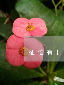 征信有1条苏宁逾期记录怎么办 征信有1条苏宁逾期记录怎么办