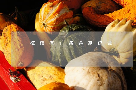 征信有1条逾期记录 征信有1条逾期记录