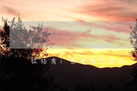 征信有1条逾期记录吗