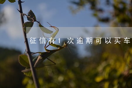 征信有1次逾期可以买车吗