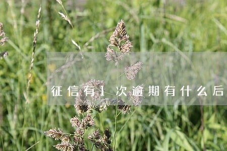 征信有1次逾期有什么后果 征信有1次逾期有什么后果