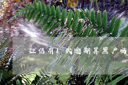 征信有1次逾期算黑户吗 征信有1次逾期算黑户吗