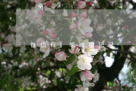 征信有1笔逾期记录 征信有1笔逾期记录