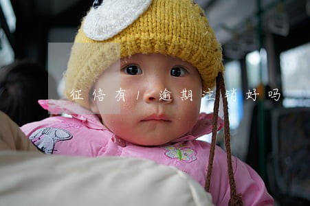 征信有1逾期注销好吗 征信有1逾期注销好吗