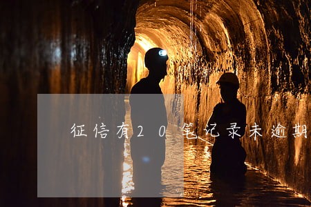 征信有20笔记录未逾期