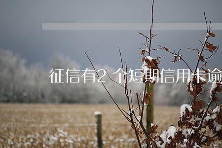 征信有2个短期信用卡逾期 征信有2个短期信用卡逾期