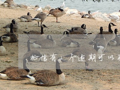 征信有2个逾期可以买房吗 征信有2个逾期可以买房吗