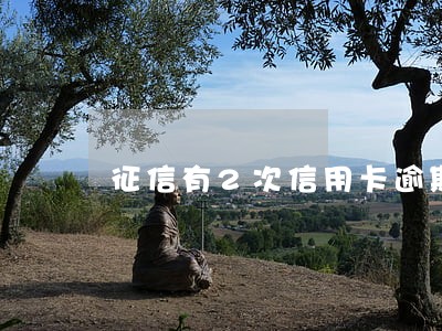 征信有2次信用卡逾期 征信有2次信用卡逾期