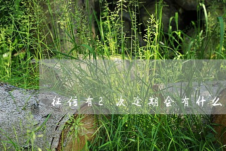 征信有2次逾期会有什么后果