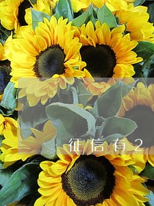 征信有2次逾期影响公积金