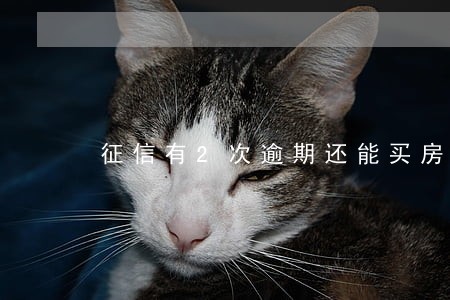 征信有2次逾期还能买房吗 征信有2次逾期还能买房吗