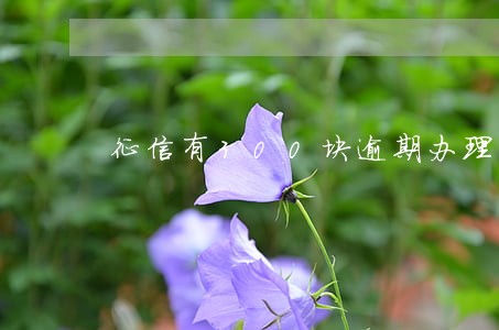 征信有300块逾期办理车贷 征信有300块逾期办理车贷