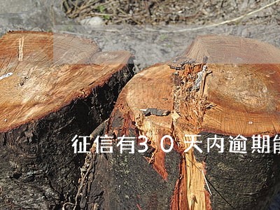 征信有30天内逾期能贷款 征信有30天内逾期能贷款