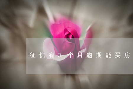 征信有3个月逾期能买房吗 征信有3个月逾期能买房吗