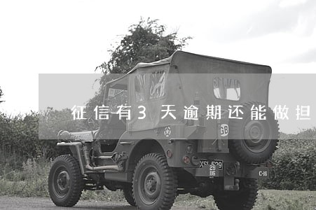 征信有3天逾期还能做担保人吗 征信有3天逾期还能做担保人吗
