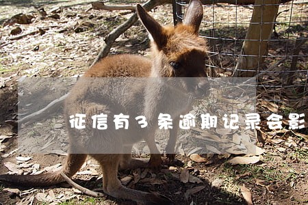 征信有3条逾期记录会影响买房吗 征信有3条逾期记录会影响买房吗