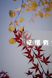 征信有3次信用卡逾期 征信有3次信用卡逾期