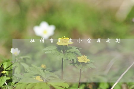 征信有3次小金额逾期 征信有3次小金额逾期