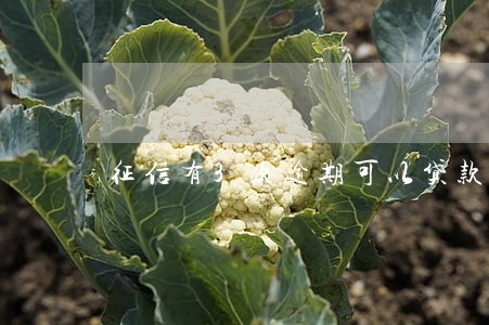 征信有3次逾期可以贷款买房吗 征信有3次逾期可以贷款买房吗