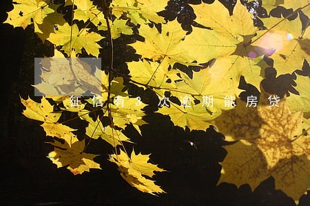 征信有3次逾期能房贷 征信有3次逾期能房贷