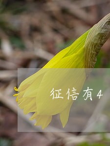 征信有4个月逾期记录 征信有4个月逾期记录