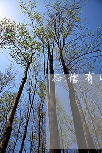 征信有4个逾期1期的小额记录 征信有4个逾期1期的小额记录