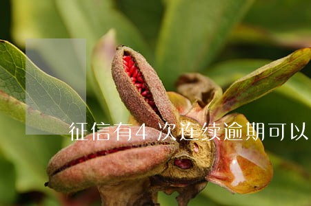 征信有4次连续逾期可以办卡嘛 征信有4次连续逾期可以办卡嘛