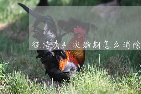 征信有4次逾期怎么消除 征信有4次逾期怎么消除