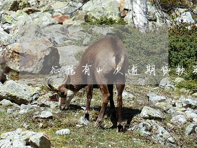 征信有4次逾期贷款买房怎么办 征信有4次逾期贷款买房怎么办