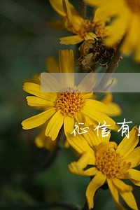 征信有55个逾期记录 征信有55个逾期记录