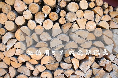 征信有57次逾期记录 征信有57次逾期记录